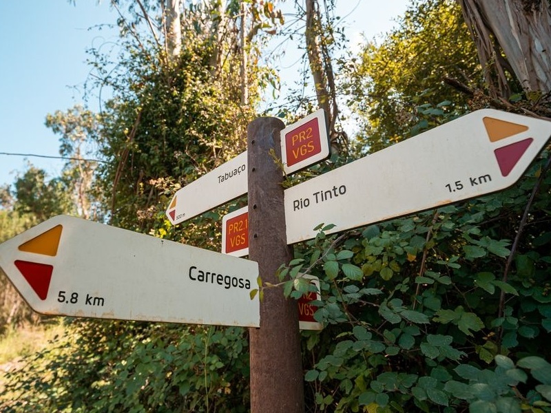 Ouca dá a conhecer "Trilhos de São Martinho" através de um Trail