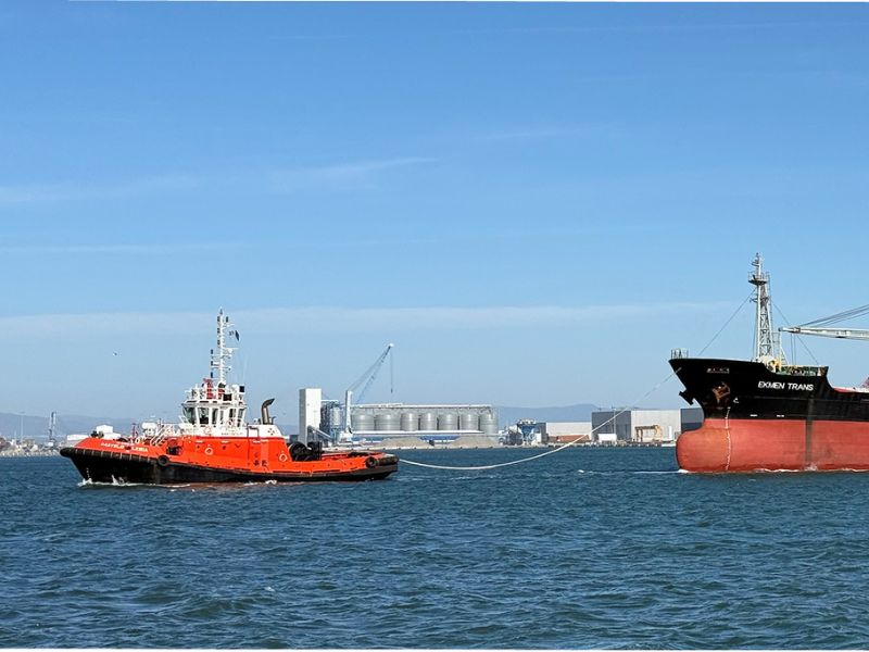 Porto de Aveiro iniciou o ano com máximos históricos