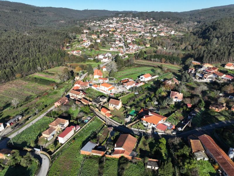 Albergaria-a-Velha supera metas nacionais e torna-se o 5º Município com o melhor desempenho no BUPI