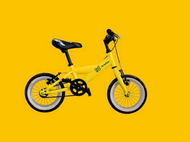 Junta de Freguesia de Aradas aposta no uso de bicicleta a partir do pré-escolar