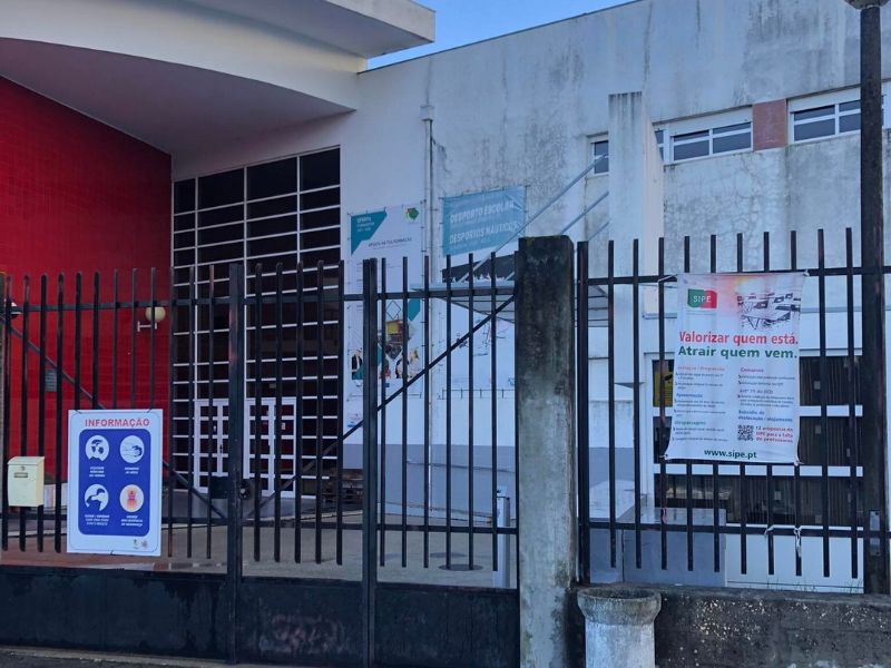 Infestação de moscas obriga ao encerramento de escolas em Vagos