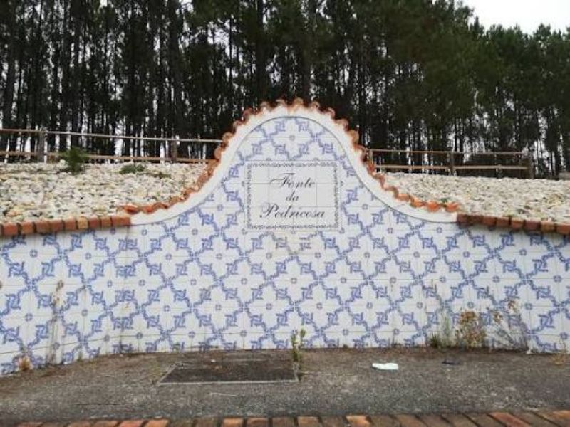 Presidente da Câmara de Vagos defende que água da Pedricosa “é única no País” e quer requalificar fonte