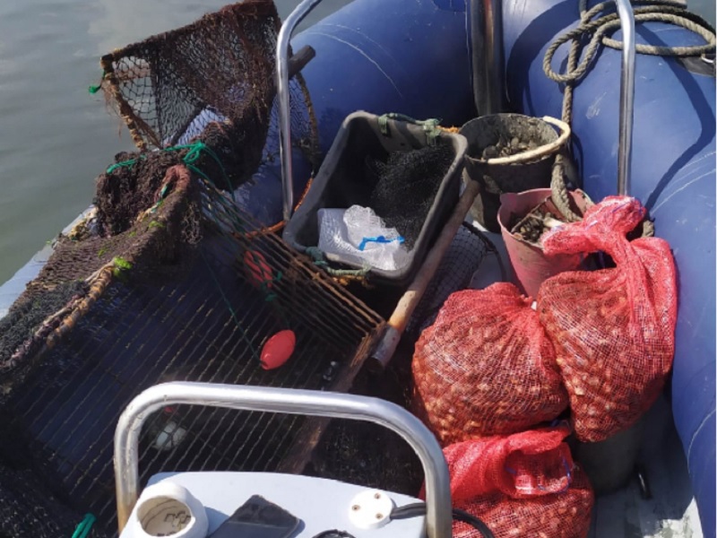 Polícia Marítima apreende 200kg de berbigão na Ria de Aveiro