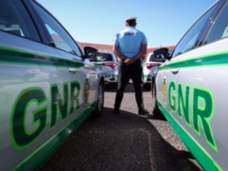 Detidos três jovens por furto num armazém em Estarreja