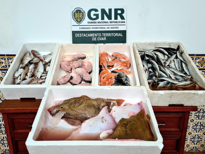 Apreendidos 22 quilos de pescado impróprio para consumo a septuagenário