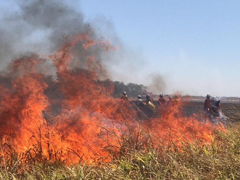 Região: Alerta para risco de incêndio