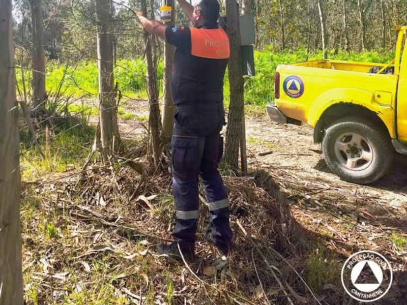 Instaladas mais de três centenas de armadilhas de vespa velutina em Cantanhede