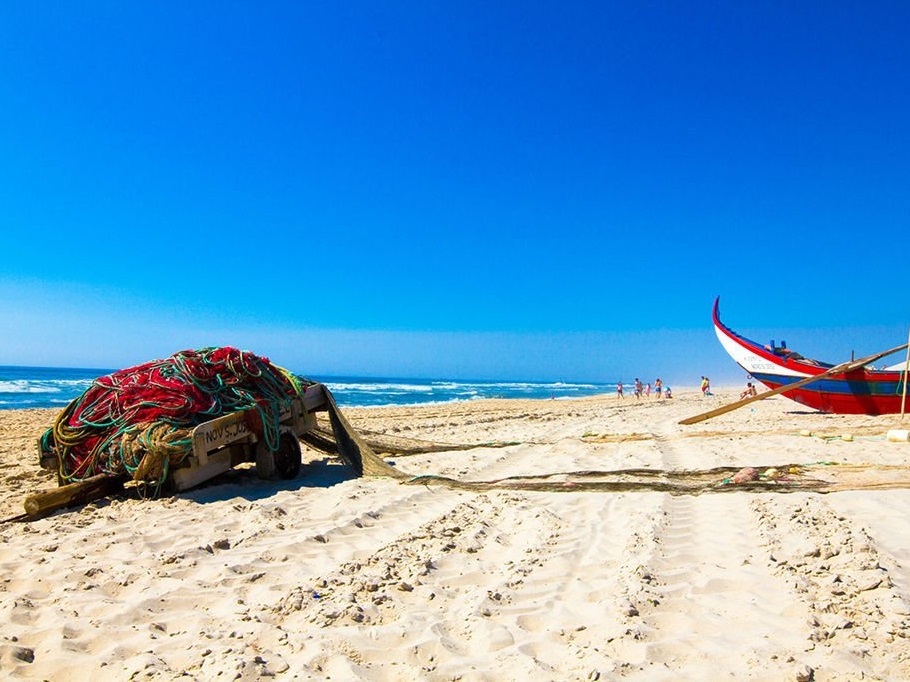 Apoio à Arte Xávega reforçado