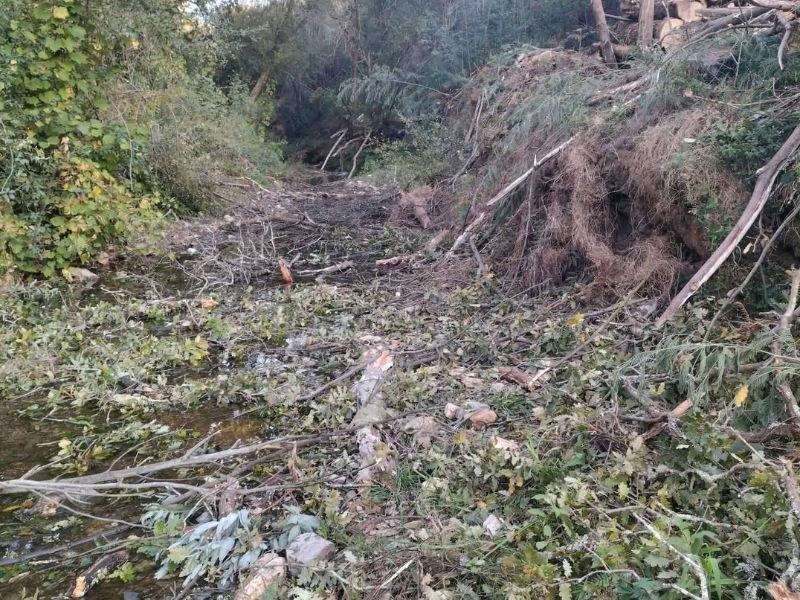 Quercus denuncia "destruição do património natural nas margens do rio Marnel"