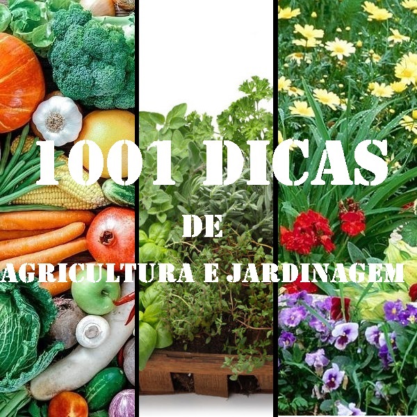 1001 Dicas de Agricultura e Jardinagem 25 maio 2021