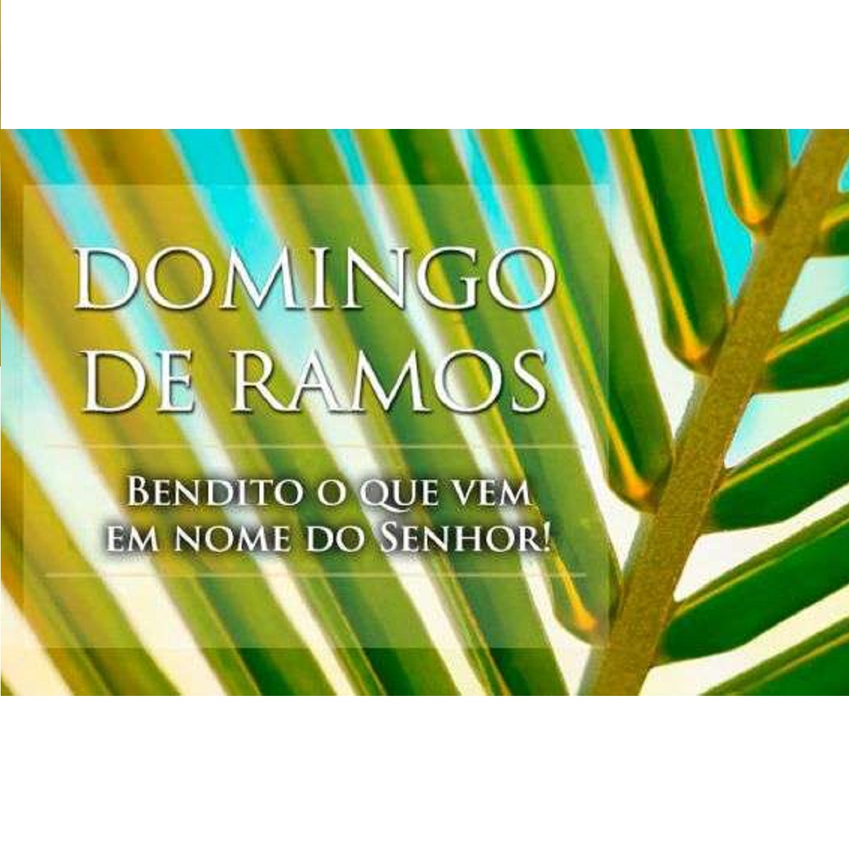 DOMINGO DE RAMOS NA PAIXÃO DO SENHOR
