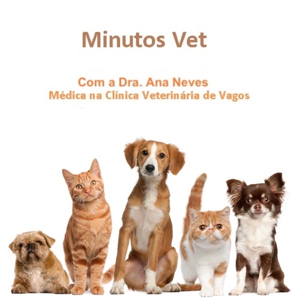 Minutos Vet 11mç2026