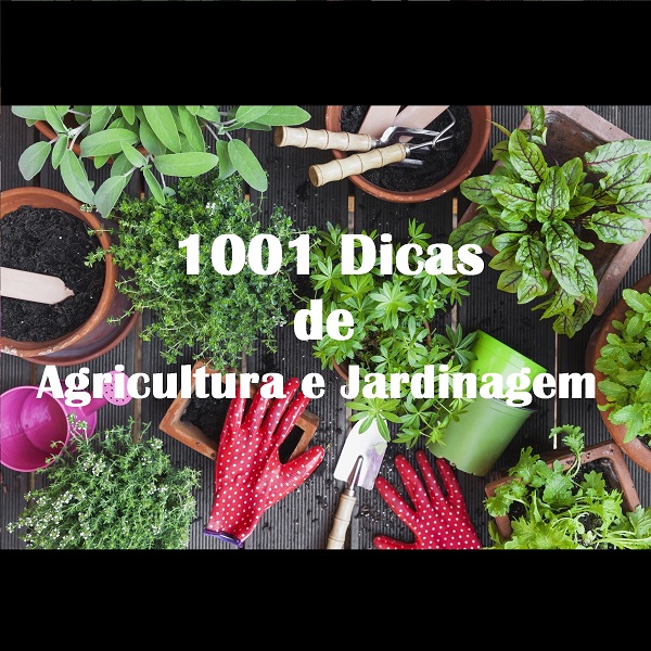 1001 Dicas de Agricultura e Jardinagem 08 mç 2022