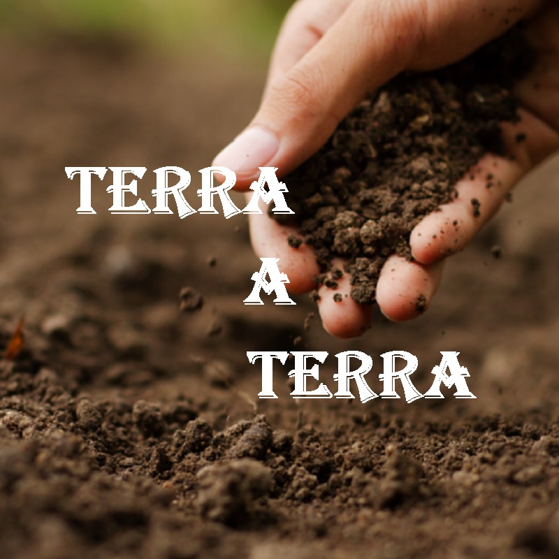 Terra a Terra 106ªedição 12maio2026